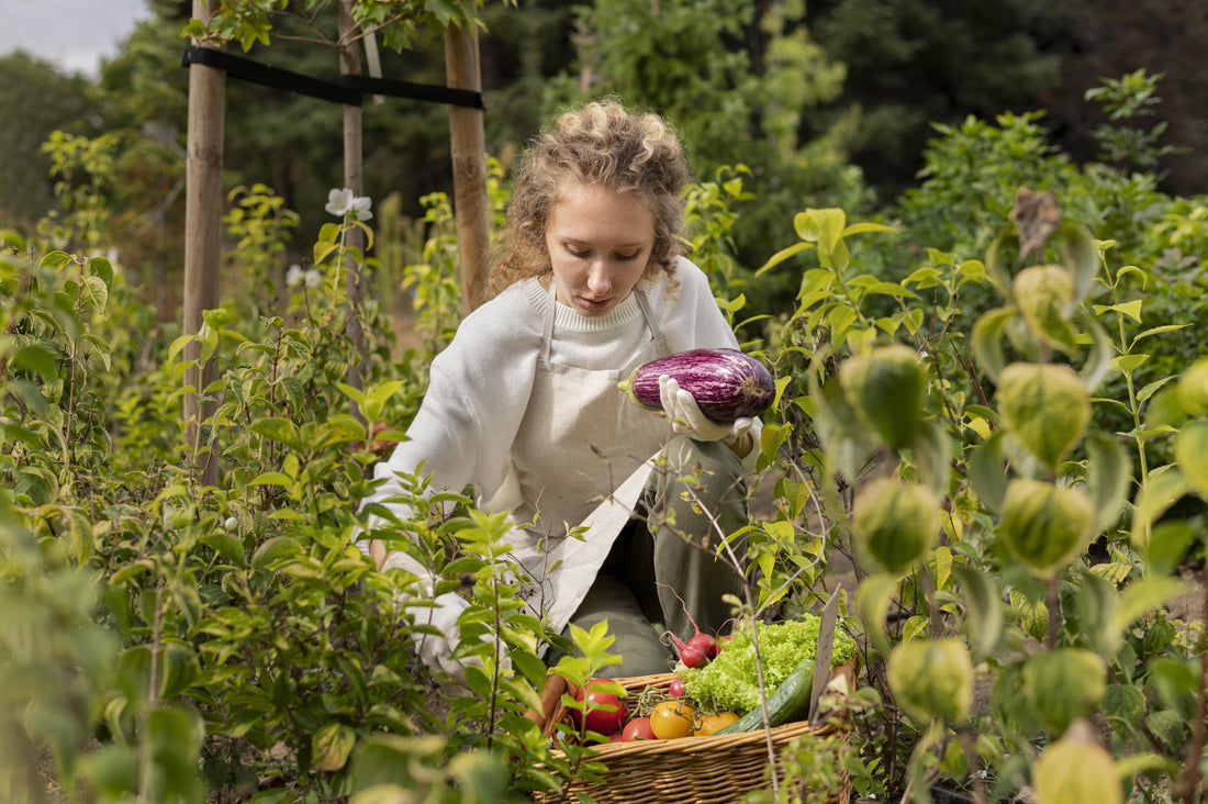 Come Fertilizzare l'Orto in Modo Biologico - Guida Pratica