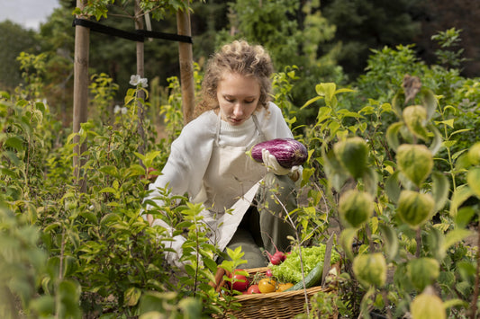Come Fertilizzare l'Orto in Modo Biologico - Guida Pratica