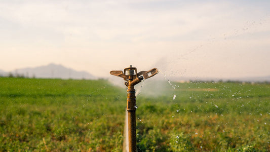 Come risparmiare acqua in agricoltura: consigli pratici e naturali